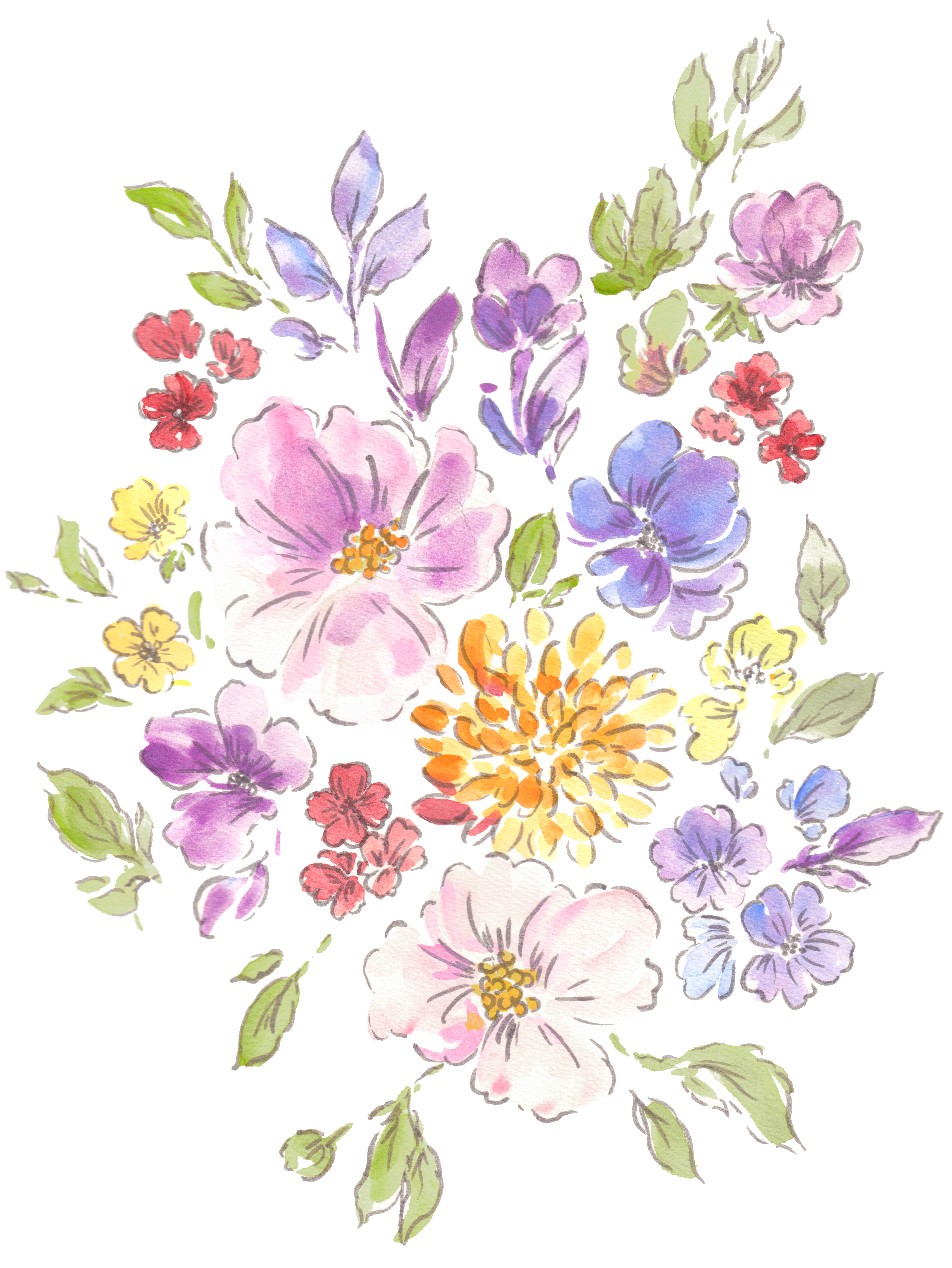 Floral feb 27-2024 C 1