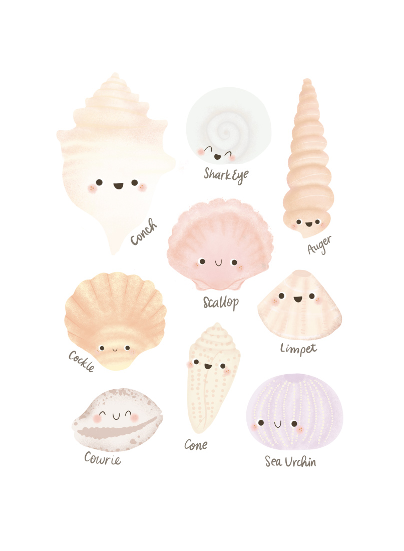 Seashells