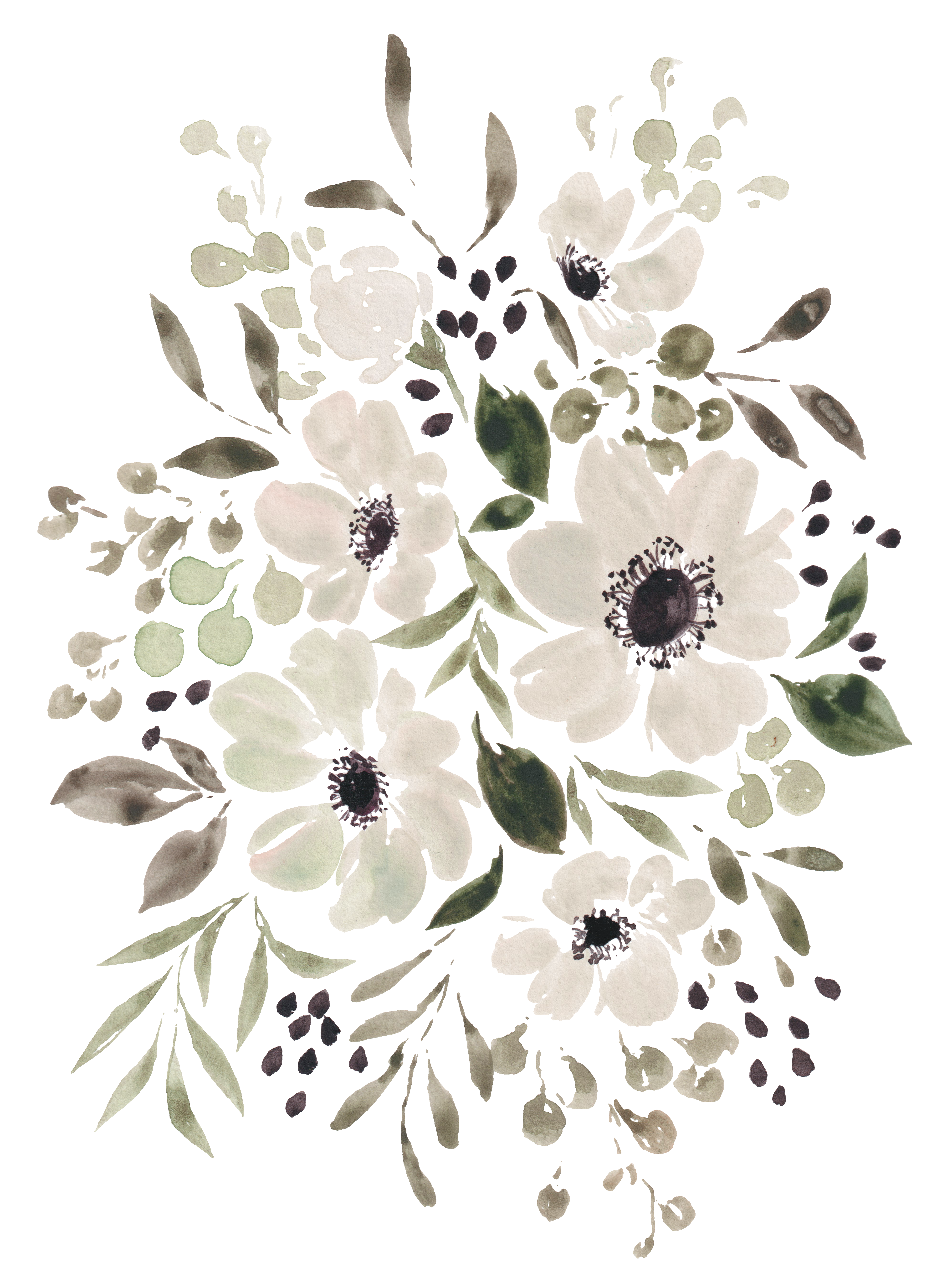 anenomes